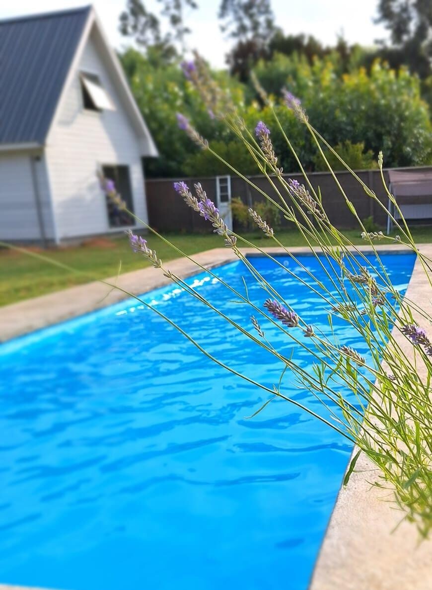 Piscina con flores en primer plano
